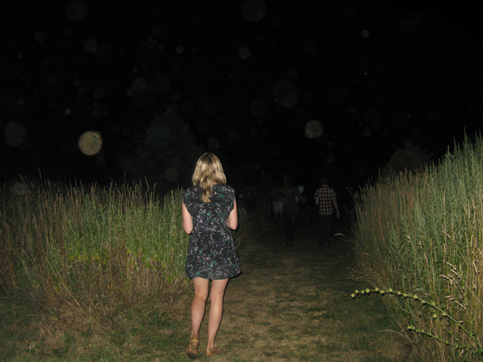 The Perseids
